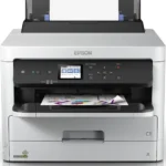 Bolsa De Tinta Amarilla 20K Pag Epson Wf-C878R/879R