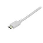 Cable Adaptador De 1.8M USB-C A A Displayport 4K 60Hz Blanco