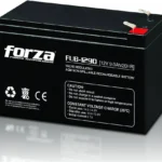 Bateria Forza Fub-690 6V/9Ah/Recargable Agm/Sin Mantenimiento