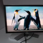 Elo 2403Lm 24-Inch Wide LCD Med Grad Full HD Cap USB Black Stand