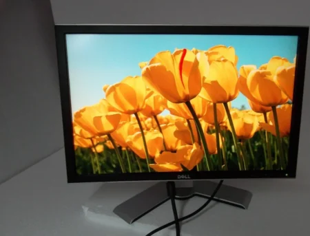 Elo 2403Lm 24-Inch Wide LCD Med Grad Full HD Cap USB Black Stand