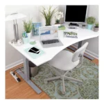 Supresor De Picos Tripp Lite 6 Contactos 180J 0.6M Cable Gris
