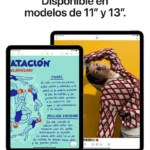 Ipad Air 13 Wf Cl 1Tb Spg-Cla