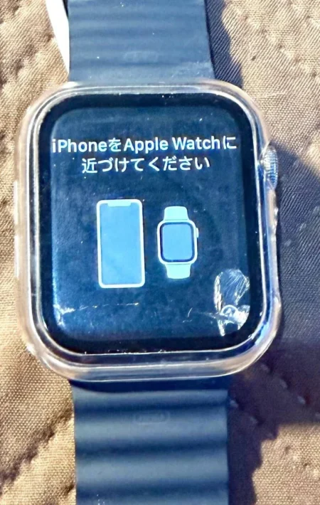 Apple Watch 42 Purple Fog Sb M/L-Ame