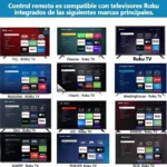 Control Remoto Para Roku D-Bugg Dbrk-01/Negro