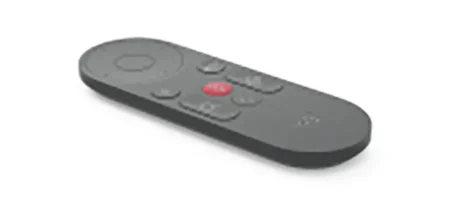 Remote Control In Graphite