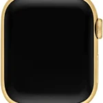 42Mm Gold Link Bracelet