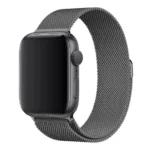 42Mm Natural Milanese Loop