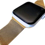 42Mm Natural Link Bracelet